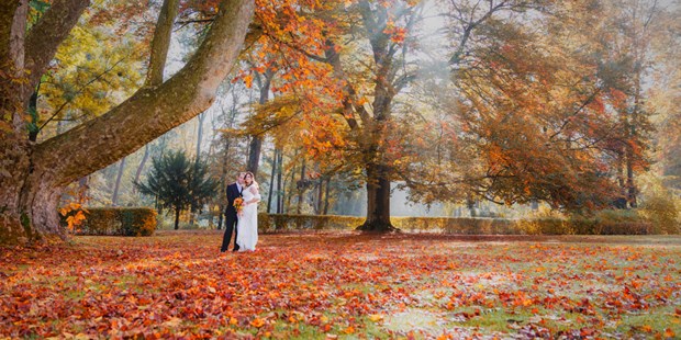 Hochzeitsfotos - Copyright und Rechte: Bilder auf Social Media erlaubt - Niederösterreich - Hochzeitsfotograf Stockerau, Niederösterreich - ultralicht Fotografie