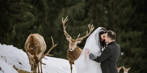 Hochzeitsfotos - Art des Shootings: Portrait Hochzeitsshooting - Brixen - Photography S & S