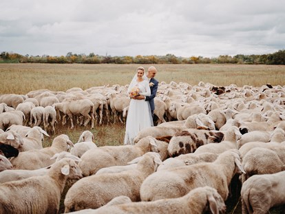 Hochzeitsfotos - Möckern (Jerichower Land) - Fotograf David Kohlruss