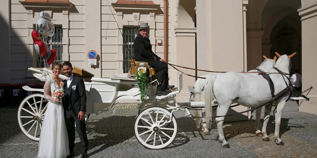 Hochzeitsfotos - Art des Shootings: 360-Grad-Fotografie - Passau (Passau) - Wolfgang Seifert     WOLFphotography