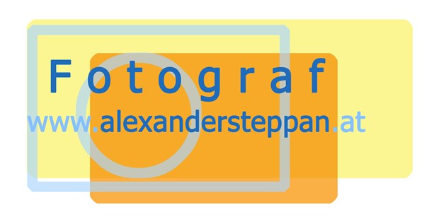 Hochzeitsfotos - Copyright und Rechte: Bilder auf Social Media erlaubt - Niederösterreich - Alexander Steppan