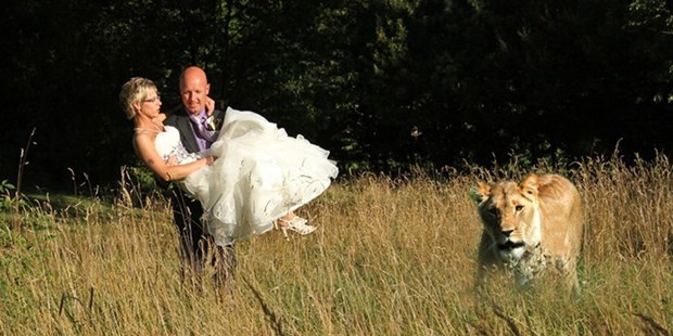 Hochzeitsfotos - Berufsfotograf - Nordrhein-Westfalen - Katja Schildheuer