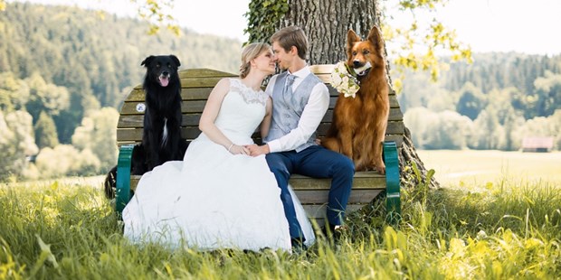 Hochzeitsfotos - Fotobox mit Zubehör - Polzela - VideoFotograf - Kump