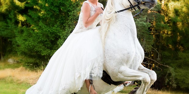 Hochzeitsfotos - Copyright und Rechte: Bilder auf Social Media erlaubt - Kirchdorf an der Krems - Fotostudio Fritz