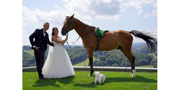 Hochzeitsfotos - Videografie buchbar - Thermenland Steiermark - Hochzeit mit Pferd & Hund in Gambitz - Fink Pictures by Iris Fink 