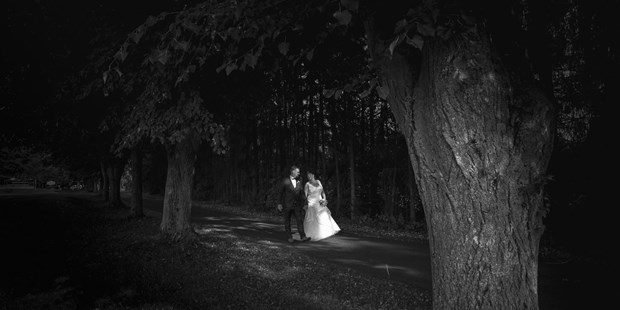 Hochzeitsfotos - Berufsfotograf - Plauen - Hochzeitpaar in Thüringen,
Parkshooting, Paarshooting
 - bilderdiesprechen.de