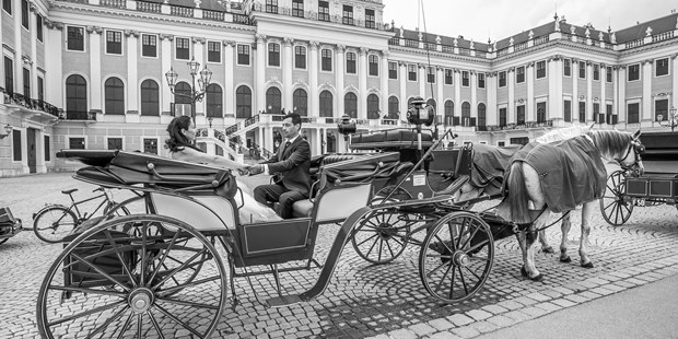 Hochzeitsfotos - Niederösterreich - Ideal Foto